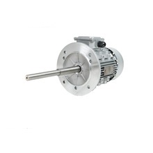 定制加長軸電機(jī)